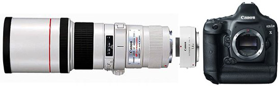 Canon EOS 1Dx. Проблема с автофокусом при выборе диафрагмы F/8 Canon EOS 1Dx. Проблема с автофокусом при выборе диафрагмы F/8