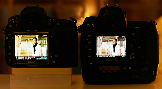 LCD Nikon D4 и Nikon D800 зеленит LCD Nikon D4 и Nikon D800 зеленит