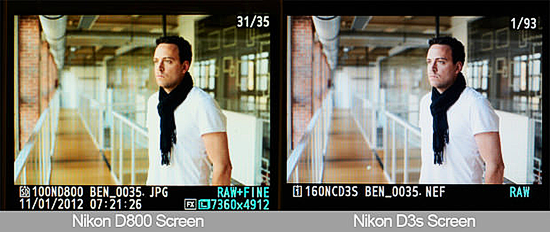LCD Nikon D4 и Nikon D800 зеленит LCD Nikon D4 и Nikon D800 зеленит