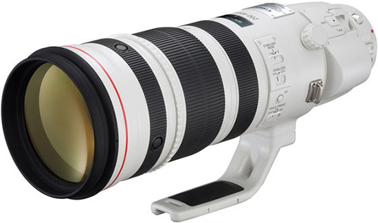 Canon 200-400mm f/4L IS + 1.4x: Видео-обзор Canon 200-400mm f/4L IS + 1.4x: Видео-обзор