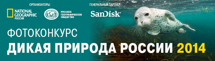 National Geographic Дикая природа России - 2014 National Geographic Дикая природа России - 2014
