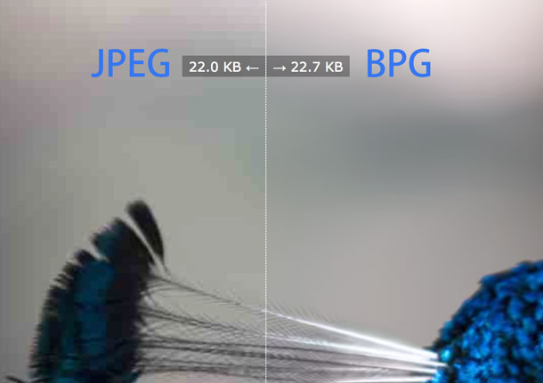 Изобрели новый формат изображения - BPG