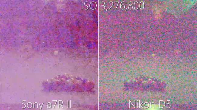 Nikon D5 vs Sony a7R II: ISO сравнение Nikon D5 vs Sony a7R II: ISO сравнение